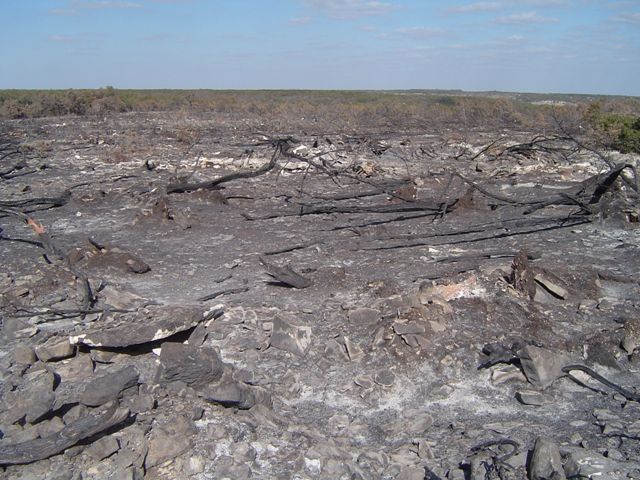 Rodgers plateau after the burn.