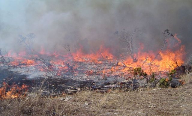 Prescribed burn on the Rodgers plateau in January 2009.